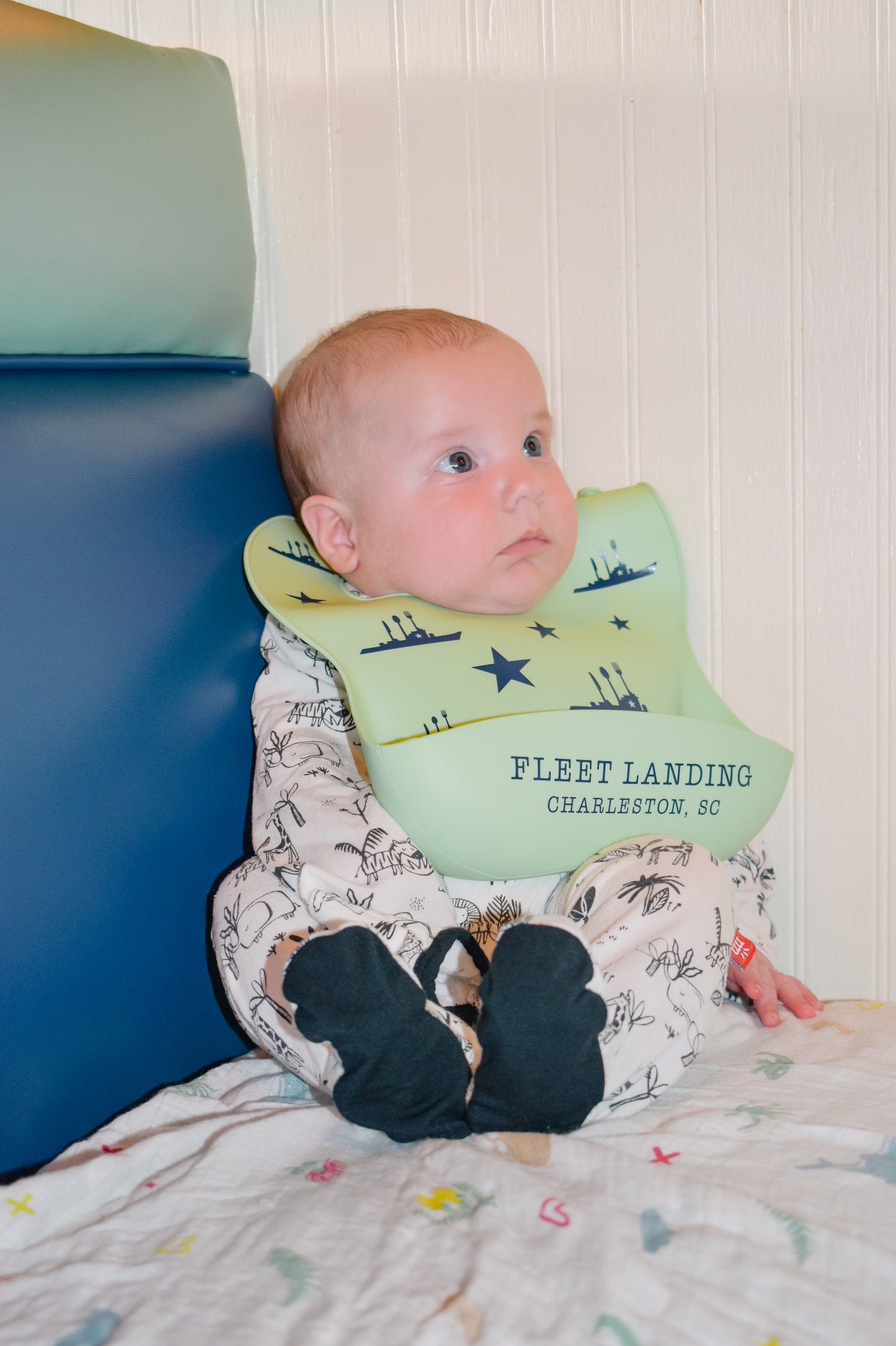 Silicone Baby Bib